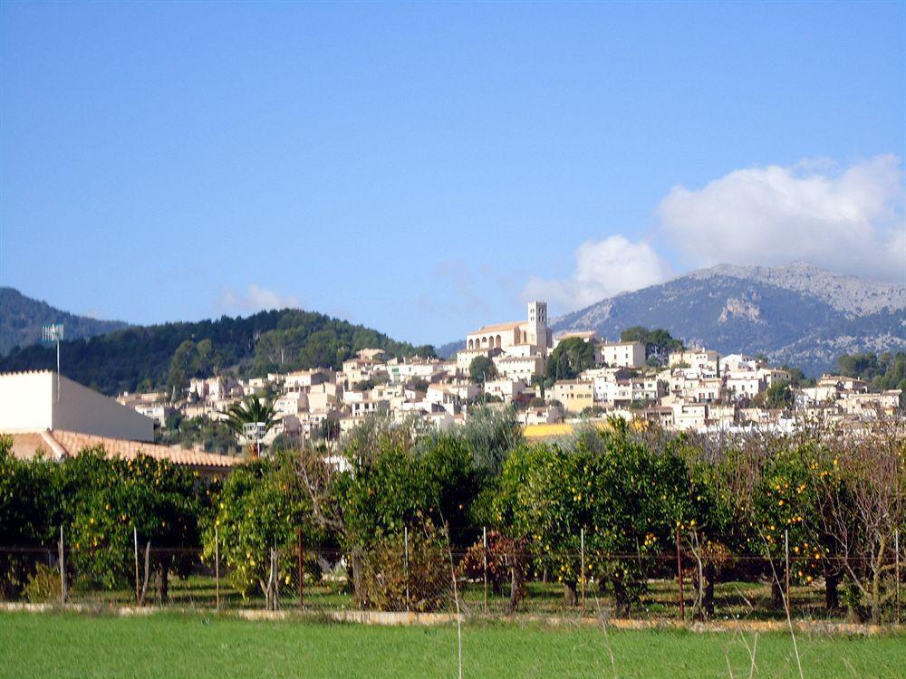 Finca Son Olive Selva  Extérieur photo