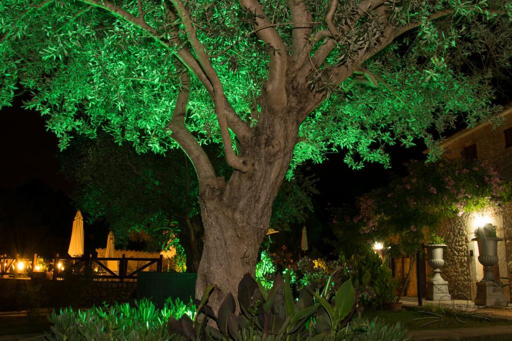 Finca Son Olive Selva  Extérieur photo